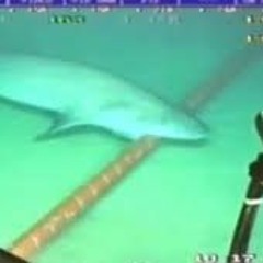 a kick up the bum with a pointy toe shoe