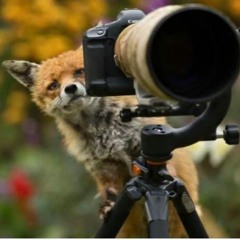 Cherried Up - Unda Dawg, Front Page And Baby Tru