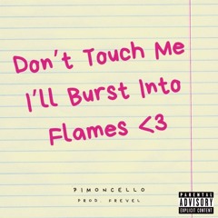 Don't Touch Me I'll Burst Into Flames (prod. Frevel)