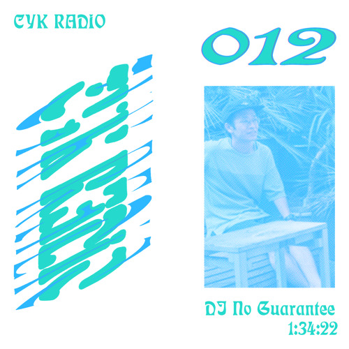 012 DJ No Guarantee