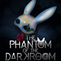 The Phantom Of The DarkRoom