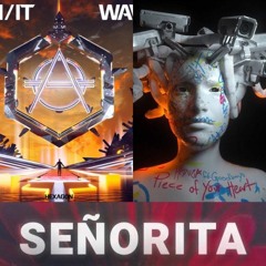 Piece Of Your Heart Wave - Meduza VS Shawn Mendes & Camila Cabello VS ZEN/IT  [[DUTTO MASHUP]]