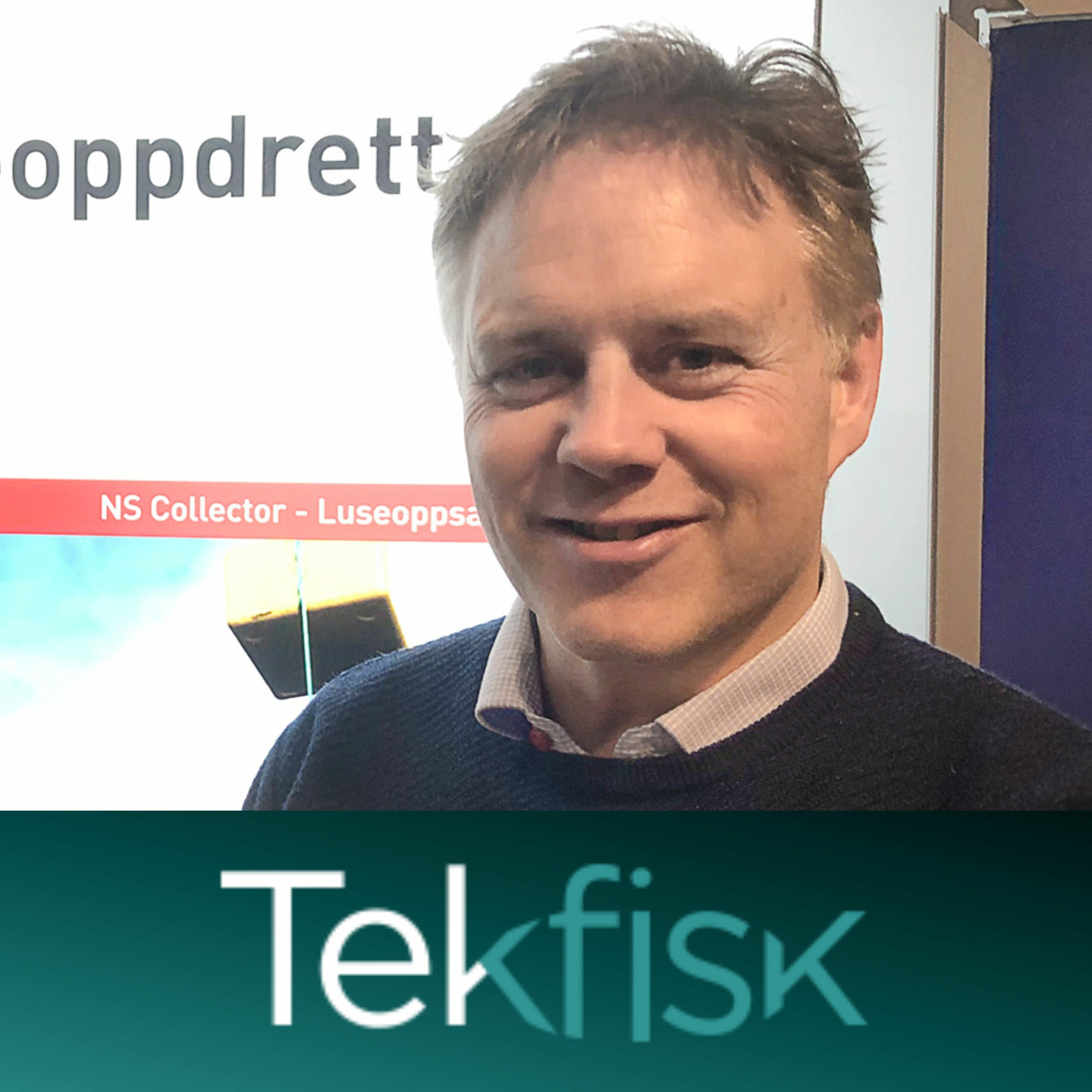 Tekfisk