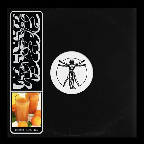 PREMIERE: Flora FM - Softest Moon [Exotic Robotics]