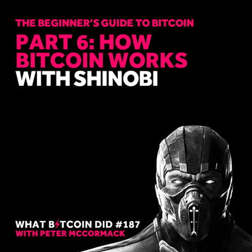 Beginner’s Guide #6:  How Bitcoin Works with Shinobi