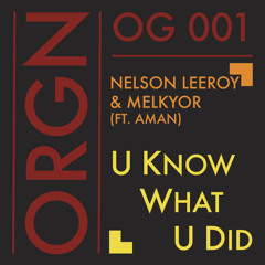 Nelson Leeroy & Melkyor - U Know What U Did (ft. Aman)