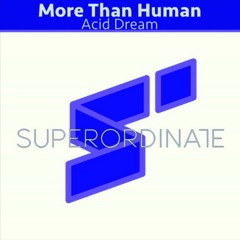 More Than Human - Acid Dream (Original Mix)