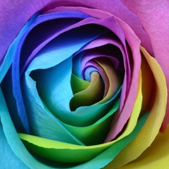 Crossing [No Vocals]