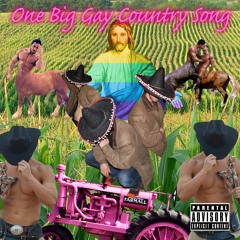One Big Gay Country Song