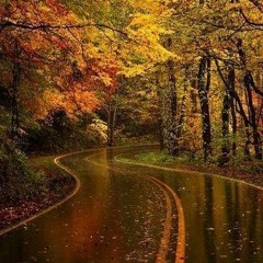 محمد محبیان پاییز