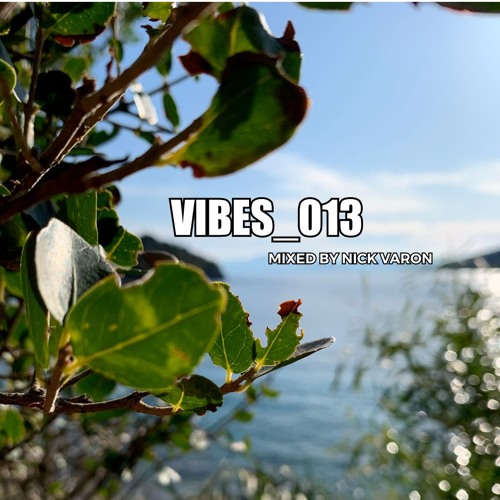 VIBES 013 Mixed By Nick Varon