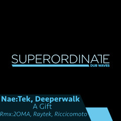 Individuation (Raytek Rmx) [Superordinate Dub Waves]
