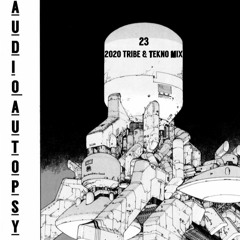 AudioAutopsy 2020 Mix // Tribe - Tekno