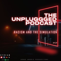 The Unpluggged Podcast Ep.37 - Racism and the simulation