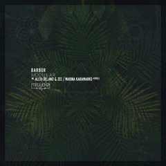 BRM PREMIERE: Barbur - Tidess (Marina Karamarko Remix) [Frequenza]