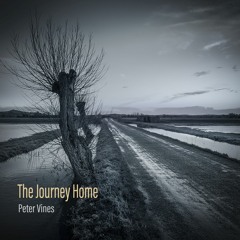 The Journey Home