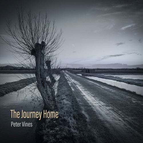 The Journey Home