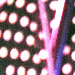 don't worry baby (beach boys)