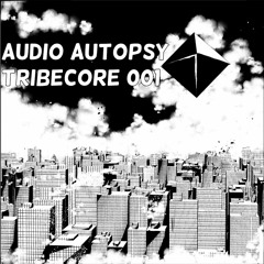 AudioAutopsy Tribecore 001
