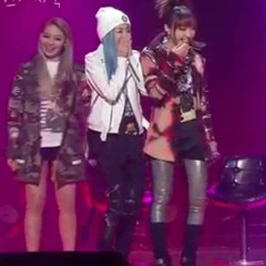 2NE1 I LOVE U LAP DANCE MIX