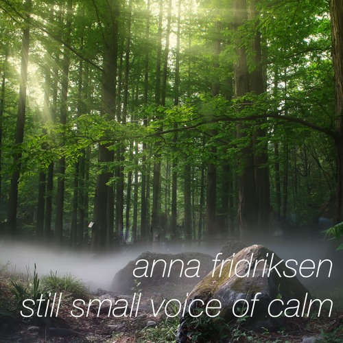 Nytt och hett: Ambient