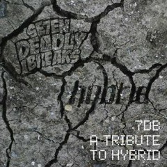 7DB A TRIBUTE TO HYBRID