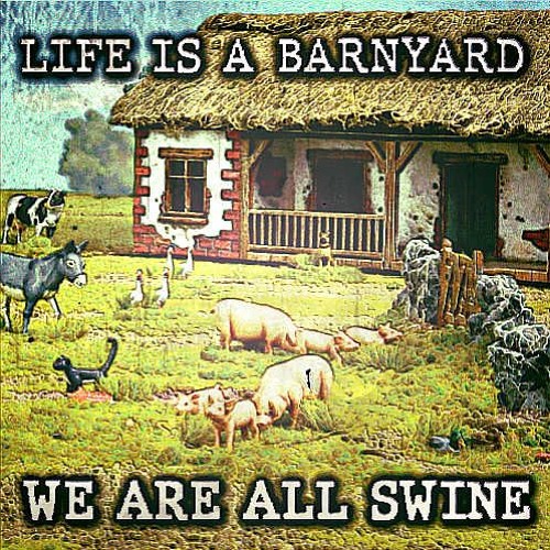 barnyard