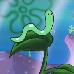 Mango Wookworm (ganja white night x tvboo)