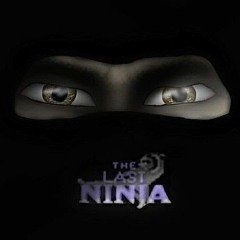 Matt Gray - The Palace (Remake) From The Last Ninja