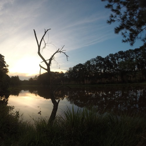 Caraúnas e Adrian HandPan - Aeolian Breeze