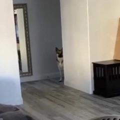 Wake Up