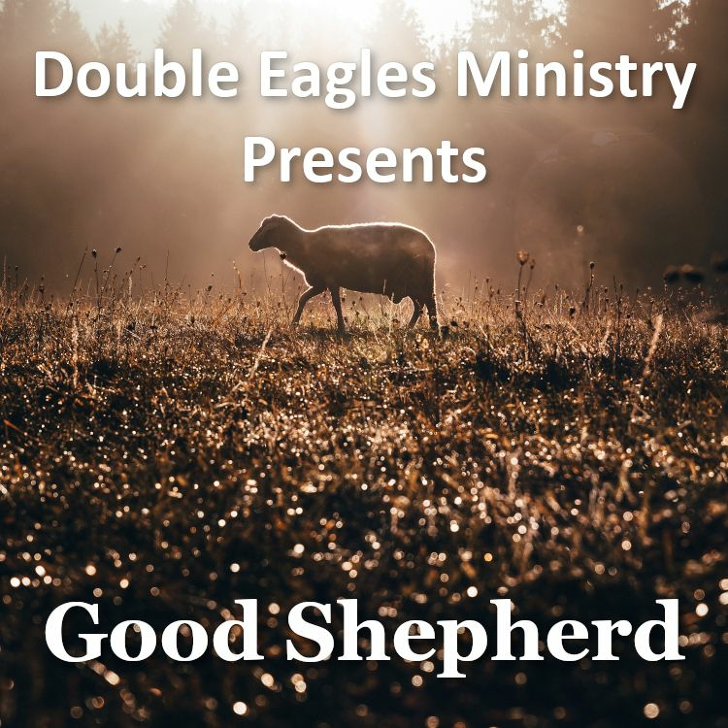 Good Shepherd episode artwork