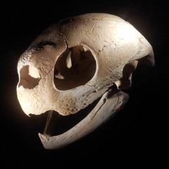 Brigo_B - Fein.Sein Instrumental