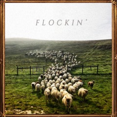 Flockin'