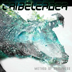 Tribeleader - Method of Sharpness