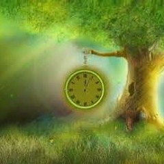 When Wishes Become Dreams