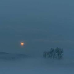 White Lite (followbliss red light mix)