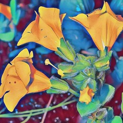 RICHER THAN THE RICHEST