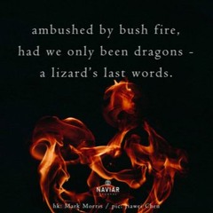 Body Betrays Being (NaviarHaiku315)