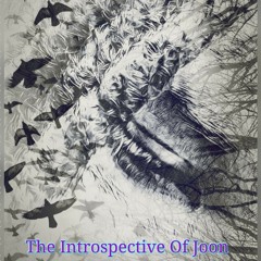 The Introspective Of Joon