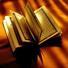 سورة الجن ( محمد مصطفى )