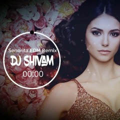 Shawn Mendes, Camila Cabello - Señorita EDM Remix