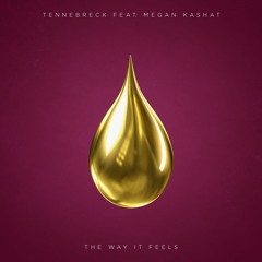 Tennebreck Feat. Megan Kashat - The Way It Feels (Radio Edit)