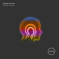 Dominik Vaillant - Remembrance Of The Future (Original Mix)