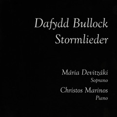 Stormlieder Book 1 Op 76 - 5 Du Schlaefst