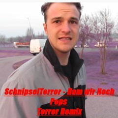 SchnipselTerror - Ham Wir Noch Peps Terror Remix 236BPM (FREE RELEASE)