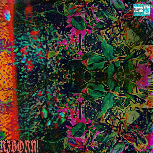 Reborn! Prod.BalanceCooper