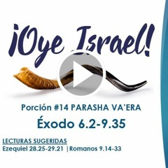 OYE ISRAEL #14 PARASHA VA'ERA
