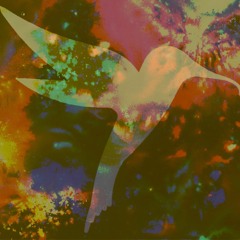 What's the word Hummingbird?