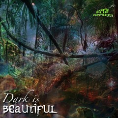 VA Dark Is Beautiful - 2020 - BFR019 (Promo Mix)